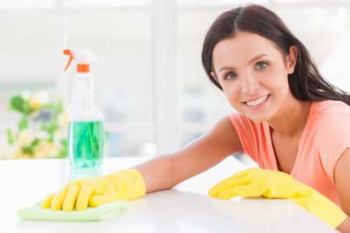 Professional steam carpet cleaning on a living room carpet