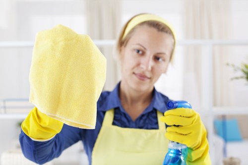 Technician cleaning a fabric couch with specialized equipment