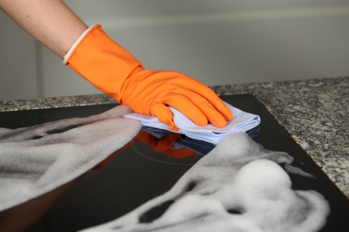 Pet stain odour removal on carpet using cleaning products