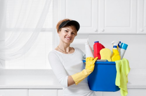 Cleaning pet urine odour from upholstery in a home