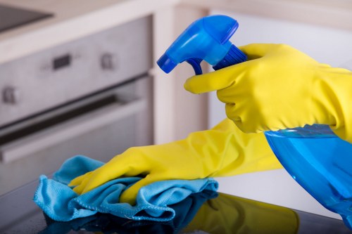 Dusting and vacuuming a mattress during home mattress cleaning