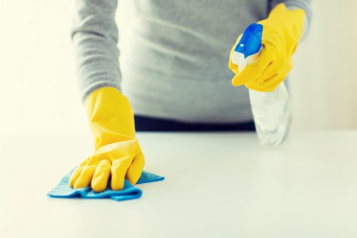 Deep carpet cleaning removing dirt and stains