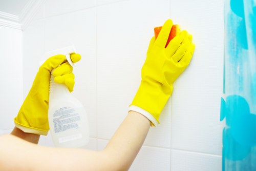 Deep cleaning pet stain odour removal on carpet fibers