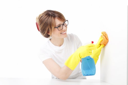 Natural pet stain odour removal supplies on a floor